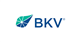 BKV Corporation stock logo