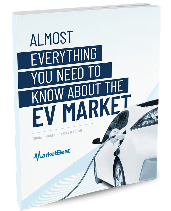 (Almost)  Everything You Need To Know About The EV Market