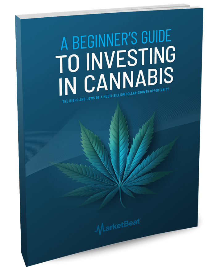 A Beginner's Guide to Investing in Cannabis