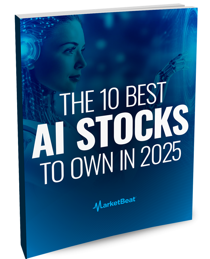 The 10 Best AI Stocks to Own in 2025