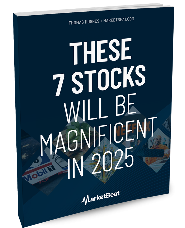 These 7 Stocks Will Be Magnificent in 2025